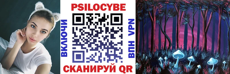 Псилоцибиновые грибы мухоморы как найти закладки Мещовск